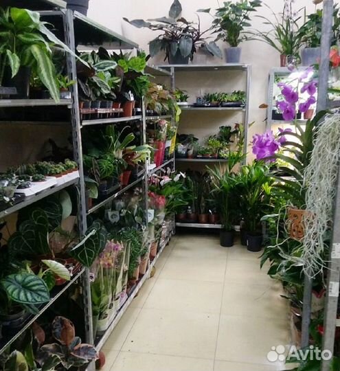 Цветовод с опытом работы