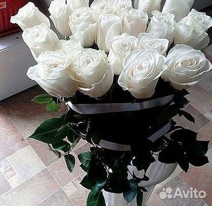 Высокие Розы с Доставкой