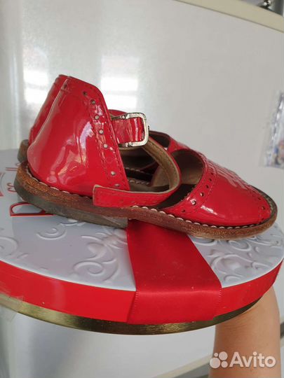 Gallucci Gucci Dolce Gabbana il gufo Blumarine