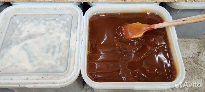 Мёд гречишный