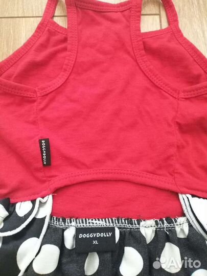 Одежда для маленькой собаки