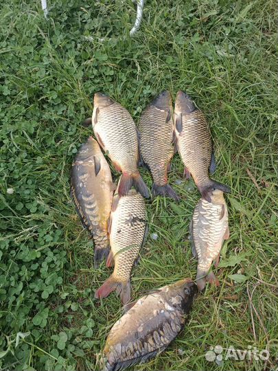 Рыбалка и отдых