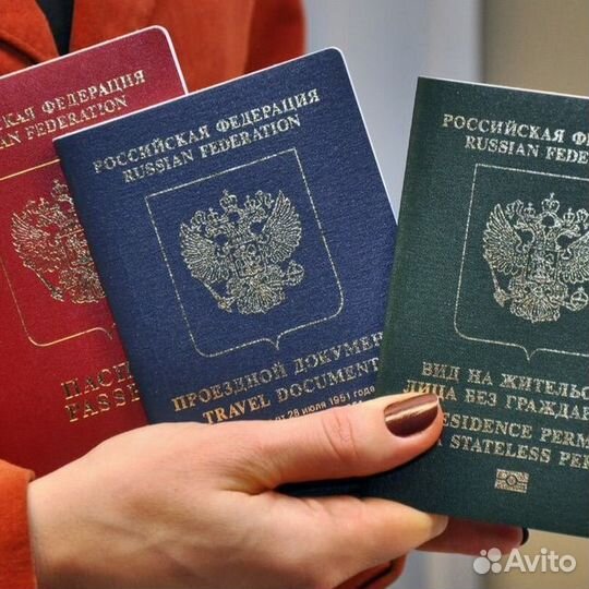 Рвп внж гражданства