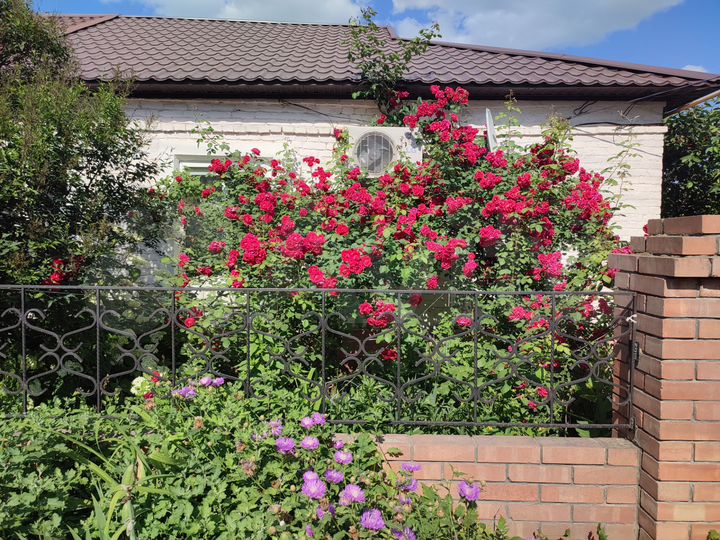 3-к. квартира, 84 м², 1/1 эт.