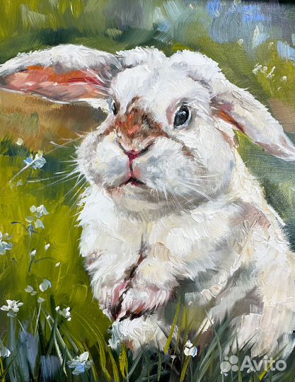 Картина маслом зайчик в рамке Картина с кроликом
