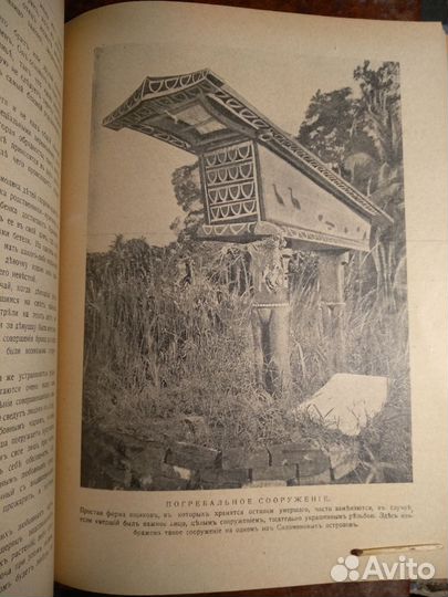 Народы мира. изд. 1916г