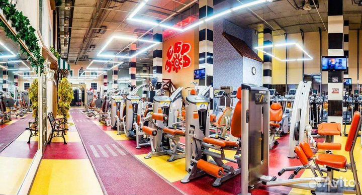 Зебра Бутово- ул Веневская new абонем 12/24, 6/24