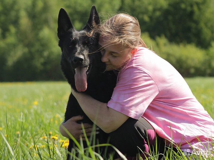 Кинолог с выездом