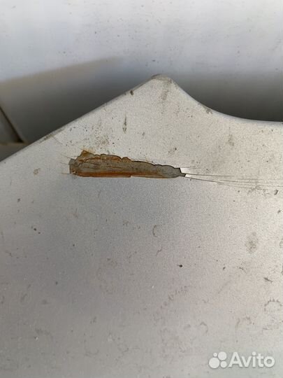 Капот Акцент