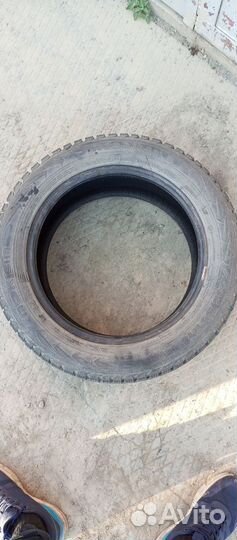 Nokian Tyres Nordman 5 205/55 R16 94T