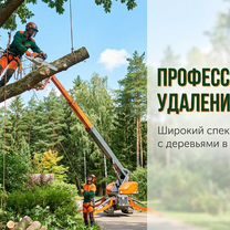 Удаление, корчевание дробление пней мульчирование, Котельники
