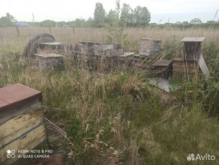 Улей для пчел с рамками и экранами