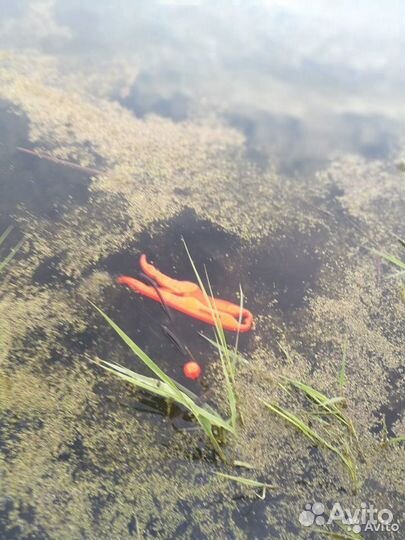 Захват LipGrip челюстной нетонущий 250 мм пластик