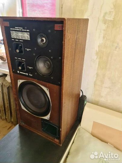 Колонка радиотехника 35 ас