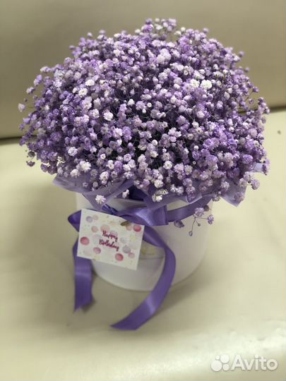 Гипсофила в коробке