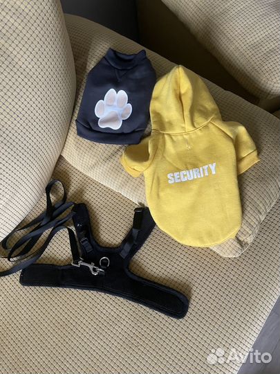 Одежда и проводка для питомца