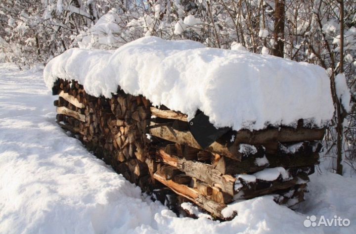 Дрова дубовые