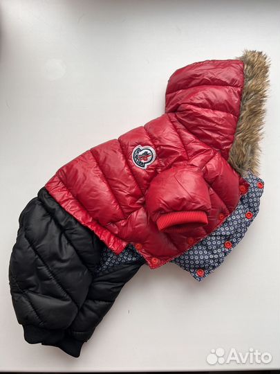 Комбинезон для собаки