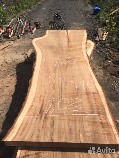 Слэб карагач 3 метра