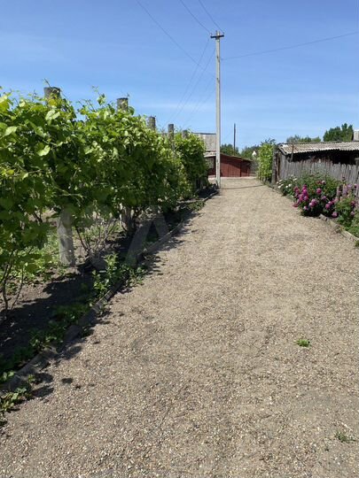 Дом 45 м² на участке 15 сот.