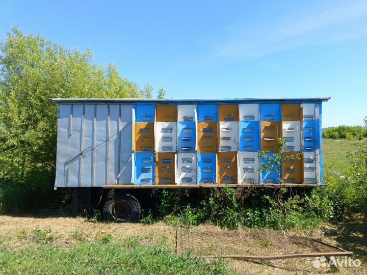 Пчелопавильон