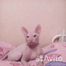 Вязка