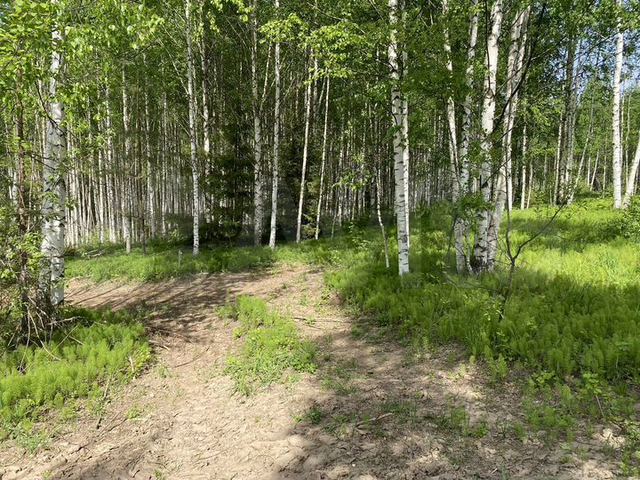 Участок 12 сот. (ИЖС)