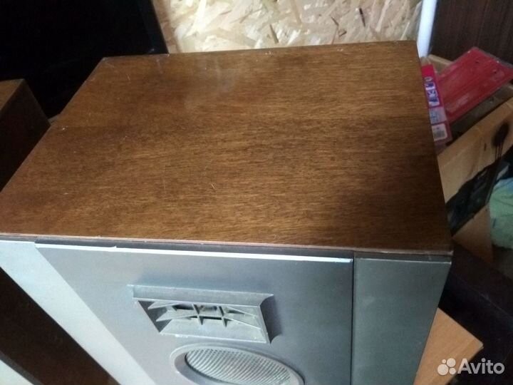 Акустическая система романтика 25ас-121