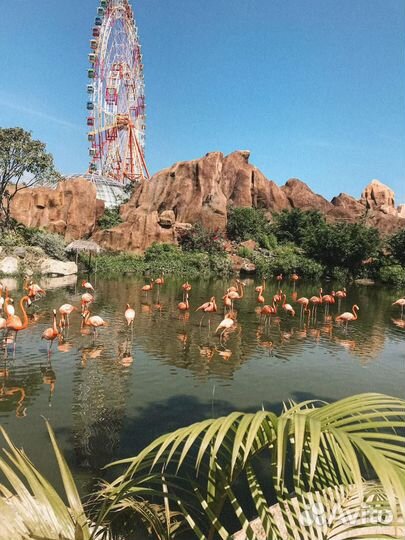 Тур в Нячанг из Новосибирска, 12 ночей