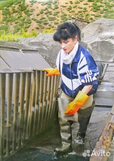 Перчатки доводчика