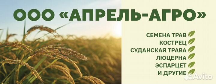 Кострец Семена Эспарцет