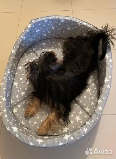 Лежанка для животных