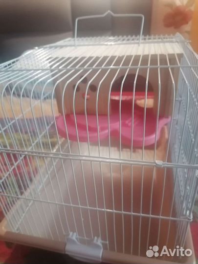 Клетка для грызунов