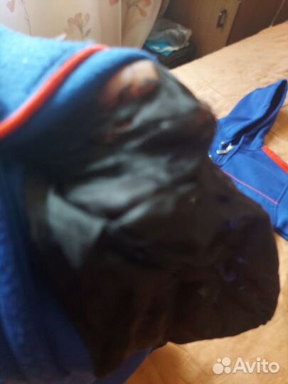 Детский костюм и кофта