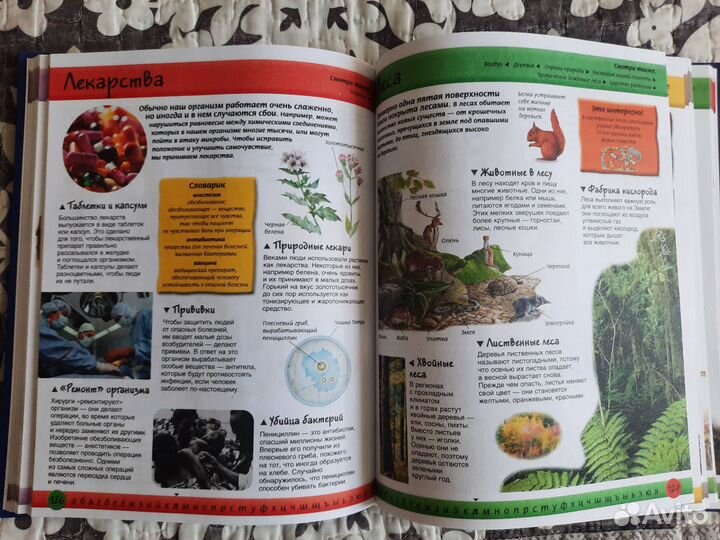 Детская энциклопедия от А до Я