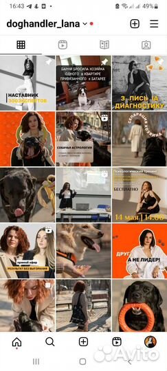 Передержка с дрессировкой, агрессия, страх