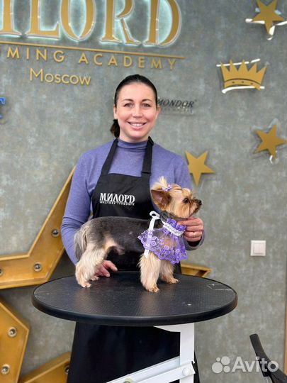 Стрижка собак