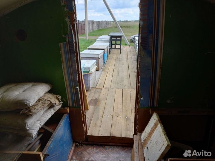 Пасека с с пчелами