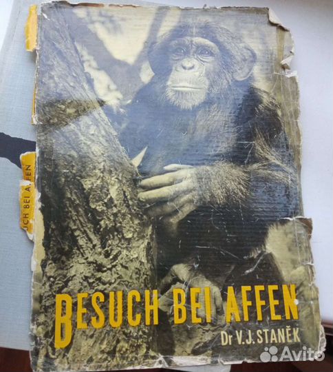 Книга о животных-обезьяны на чехословацком 1957 го