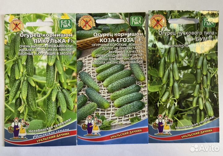 Огурцы семена