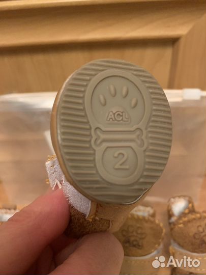 Обувь для собак мелких пород