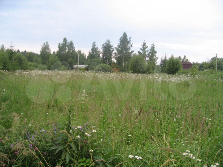 Участок 24 сот. (СНТ, ДНП)