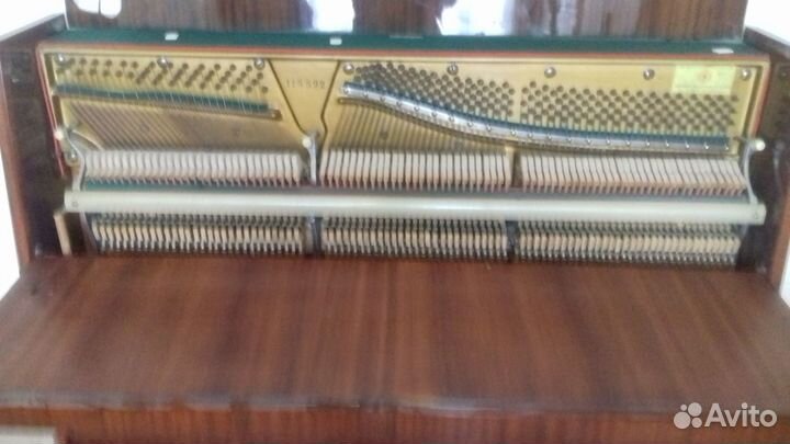 Музыкальные инструменты