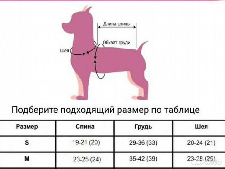 Платье и шлейка для кошек собак
