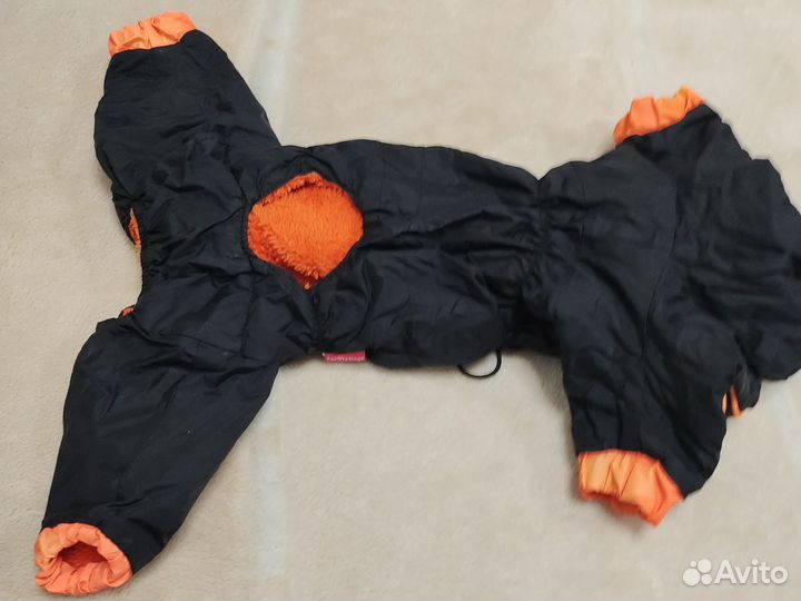 Одежда для собак