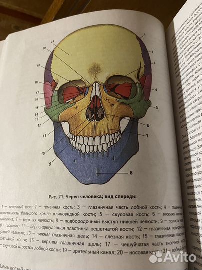 Медицинский атлас 