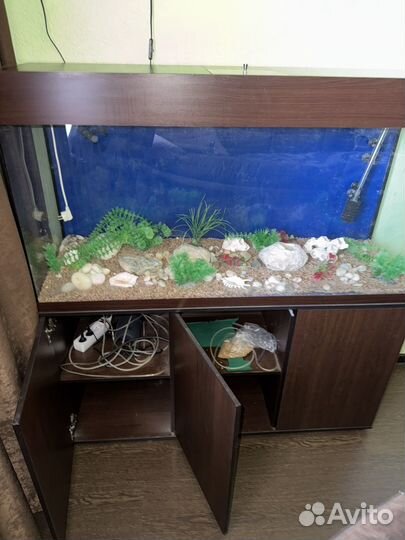 Аквариум с тумбой насосом и всем оборудованием