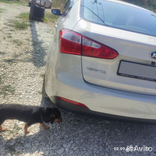 Kia Cerato 1.6 AT, 2014, 170 000 км