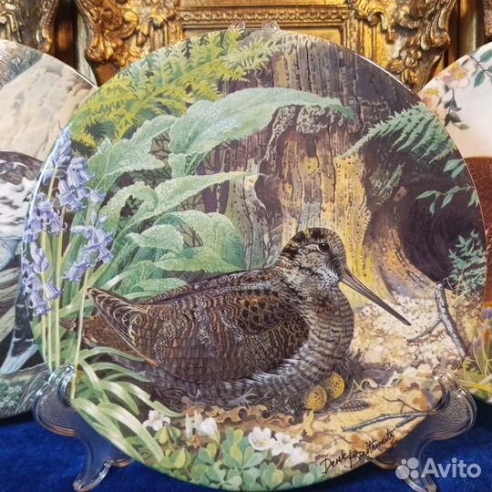 Дикие птицы.Коллекция.тарелки. Англия.Крафтон