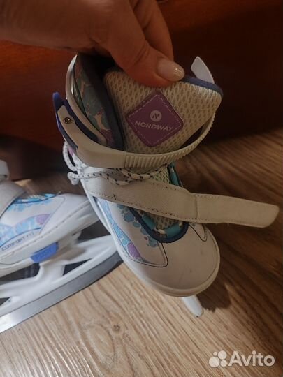 Коньки nordway 26 31